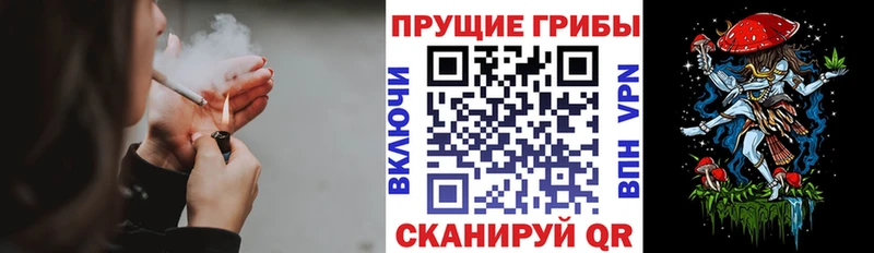 Псилоцибиновые грибы Psilocybe  кракен ТОР  Канаш 